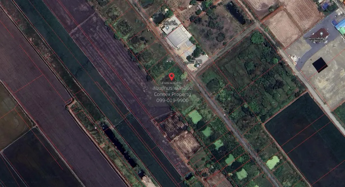 ขายที่ดินเปล่า 1 ไร่ แขวงลำต้อยติ่ง เขตหนองจอก(เจียระดับ) กรุงเทพ 1