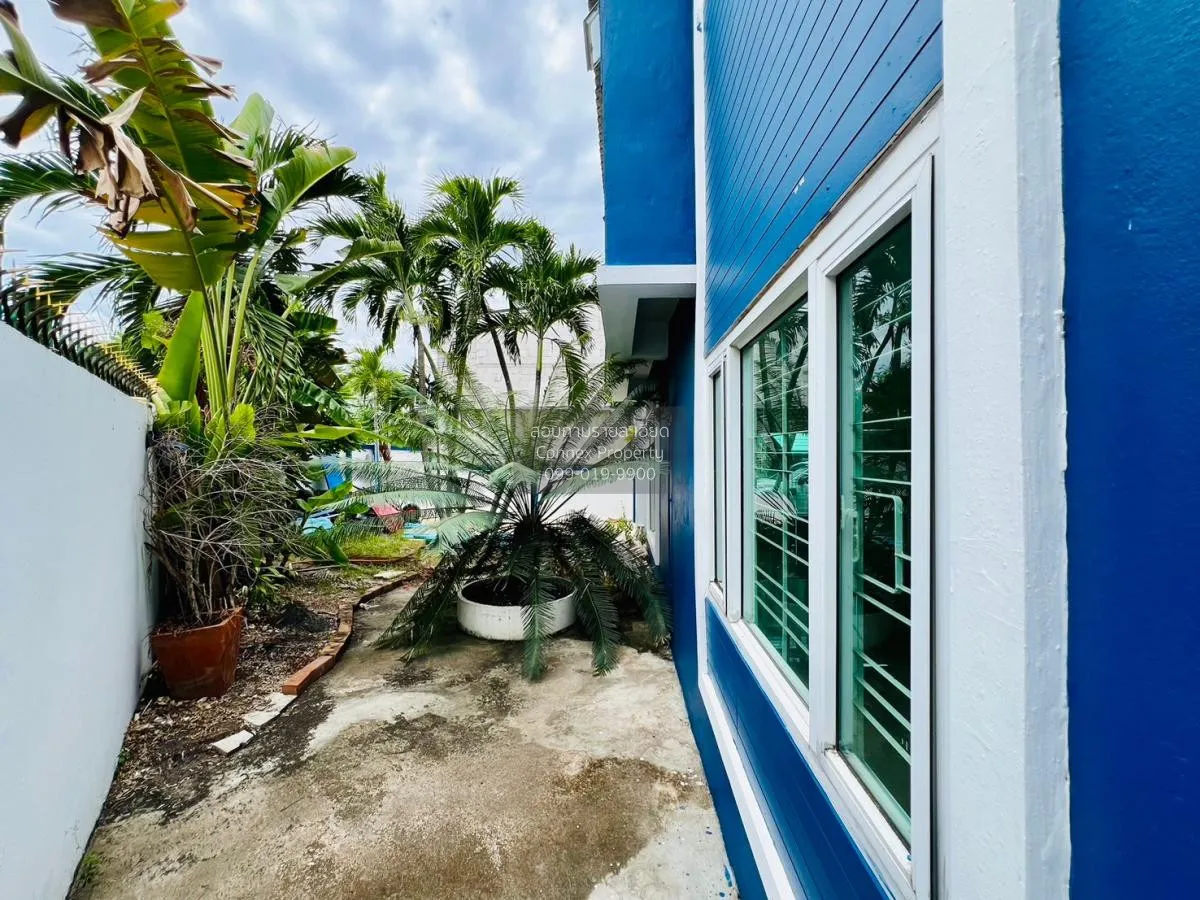 ขายบ้าน  บ้านงามเจริญ 8 พัทยา หนองปรือ บางละมุง ชลบุรี CX-99937