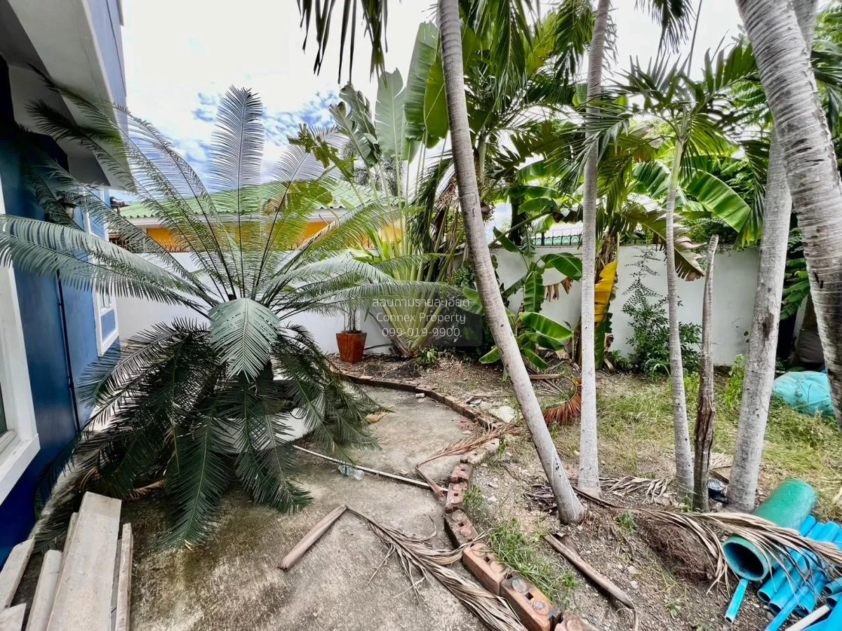 ขายบ้าน  บ้านงามเจริญ 8 พัทยา หนองปรือ บางละมุง ชลบุรี CX-99937