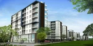 Incio serithai - อินซิโอ้  เสรีไทย