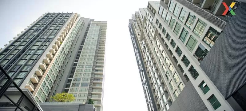 For Rent Condo , Quattro by Sansiri , BTS-Thong Lo , Khlong Tan N