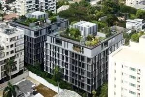 Siamese Gioia - ไซมิสจอยญ่า