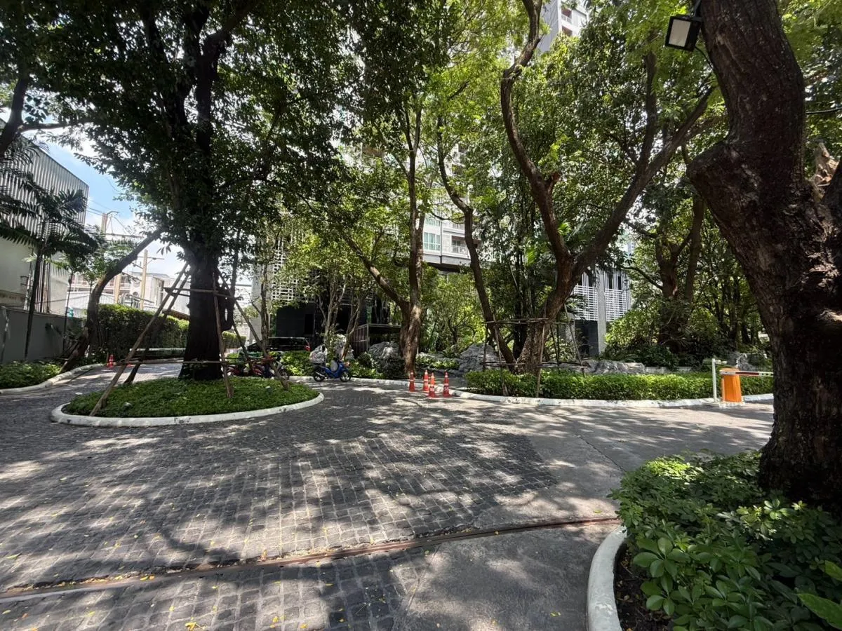 เช่าคอนโด  ดิ แอดเดรส อโศก วิวสวย ชั้นสูง ห้องมุม MRT-เพชรบุรี มั
