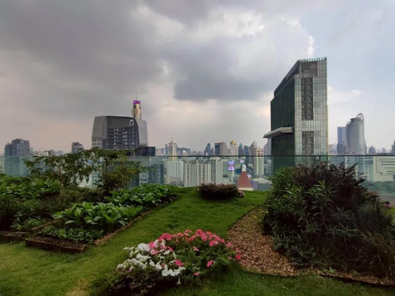 เช่าคอนโด  เดอะไลน์ ราชเทวี BTS-ราชเทวี ถนนเพชรบุรี เขต ราชเทวี ก