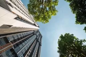 The line sukhumvit 101 - เดอะไลน์ สุขุมวิท 101