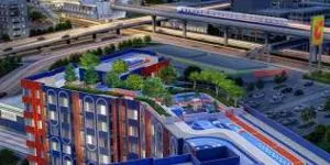 Brixton Pet&Play Phahol 50