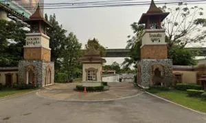 Golden Nakara On Nut 65