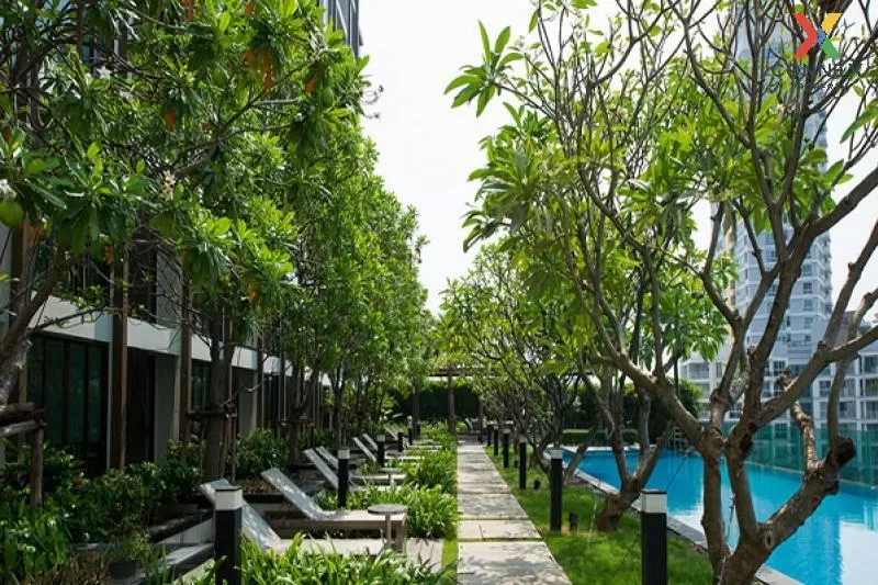 For Rent Condo , Ideo Ladprao 5 , high floor , newly renovated , 