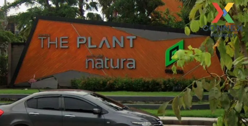 For Sale House , The Plant & Natura Wongwaen - Lumlukka Klong 5 , 2