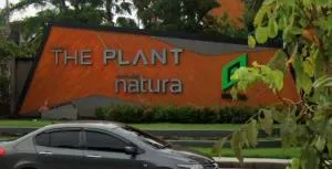 The Plant & Natura Wongwaen - Lumlukka Klong 5