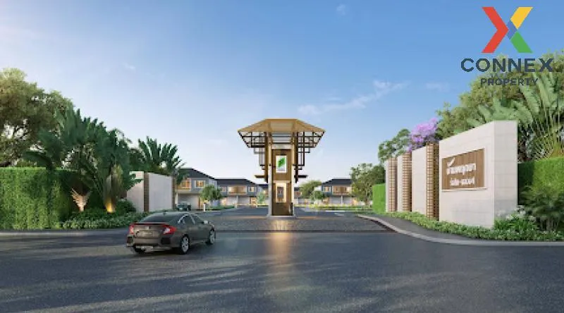 For Rent Commercial Building , Baan Pruksa 124/2 Rangsit - Klong  1