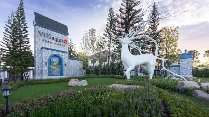 hum Thani , CX-149062