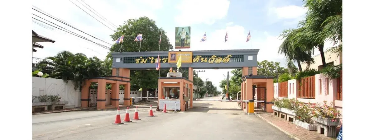 For Sale Townhouse/Townhome  , Baan Romsai Petchkasem 69 , newly 